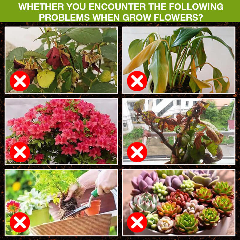 💥Last Day Promotion 30% OFF💥 Plant Growth Enhancer Supplement