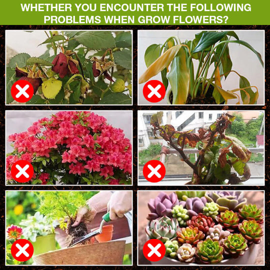 💥Last Day Promotion 30% OFF💥 Plant Growth Enhancer Supplement