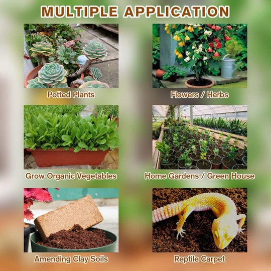 🌱 2026 Upgraded Formula | Pure Coco Coir Gardening Bricks | Boosts Germination ⚡【Flash 50% OFF】