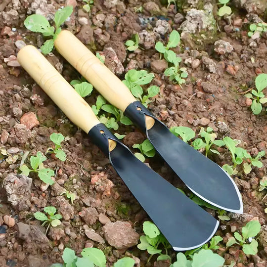 🌱 50 % DE RÉDUCTION MAINTENANT ! 🧤 Ensemble d'outils de jardinage – Pelle à désherber, truelle &  Râteau, poignée ergonomique &  Résistant à la rouille 🌿