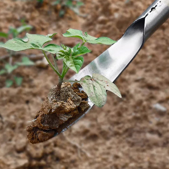🌱 50 % DE RÉDUCTION MAINTENANT ! 🧤 Ensemble d'outils de jardinage – Pelle à désherber, truelle &  Râteau, poignée ergonomique &  Résistant à la rouille 🌿