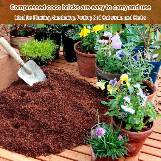 🌱 2026 Upgraded Formula | Pure Coco Coir Gardening Bricks | Boosts Germination ⚡【Flash 50% OFF】