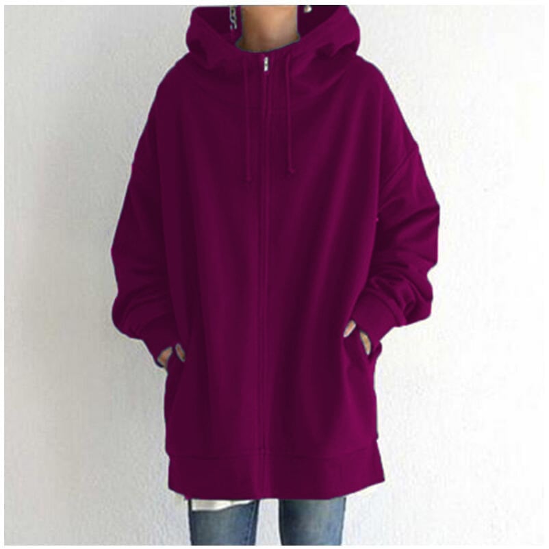 49% OFF🌷Women's Autumn/Winter Zipper Hooded Sweater