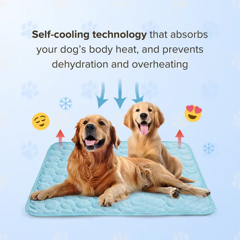 🧊 50% OFF TODAY! 🐶 Dog Cooling Mat (4X Cooling Effect) ✨ Instant Heat Relief & All-Day Summer Comfort for Pets ☀️🐾