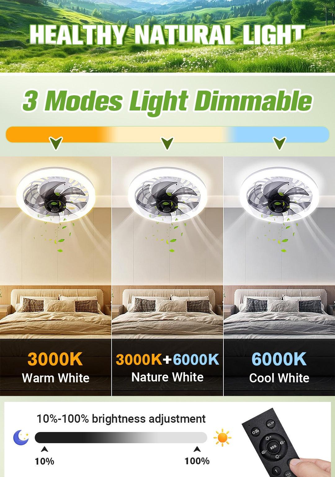 💥2026 HOT SALE 50% OFF💥 2-in-1 Mute Adjustable Fan Light with Remote Control