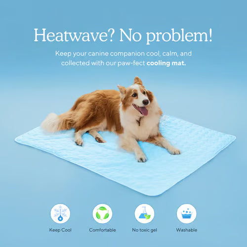 🧊 50% OFF TODAY! 🐶 Dog Cooling Mat (4X Cooling Effect) ✨ Instant Heat Relief & All-Day Summer Comfort for Pets ☀️🐾