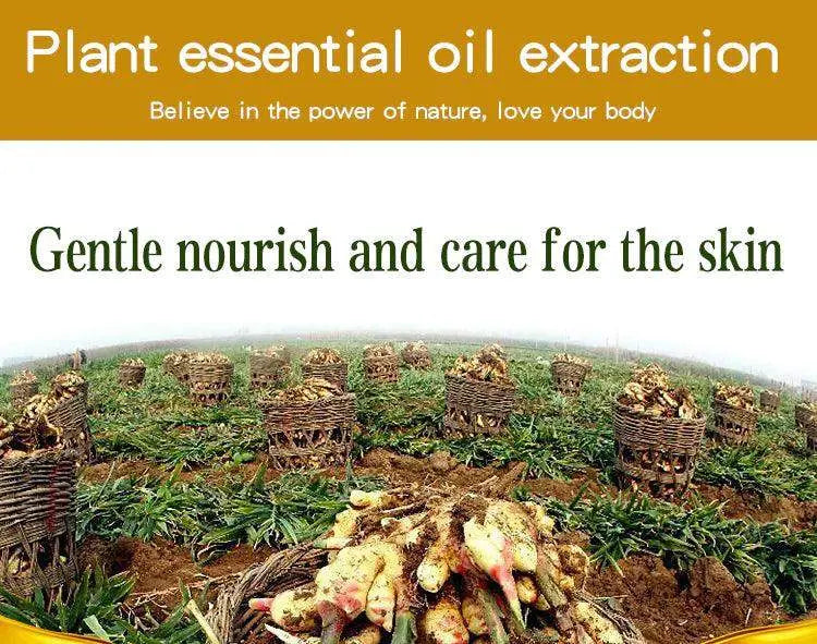 Pure Natural Ginger Essential Oil