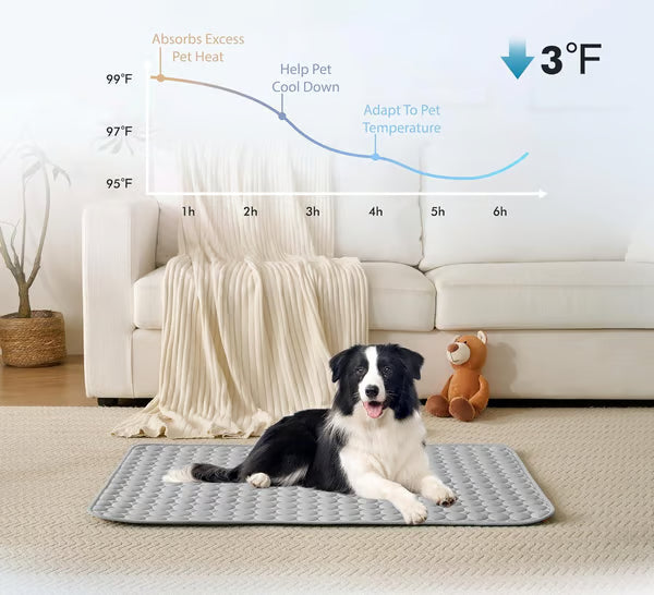 🧊 50% OFF TODAY! 🐶 Dog Cooling Mat (4X Cooling Effect) ✨ Instant Heat Relief & All-Day Summer Comfort for Pets ☀️🐾