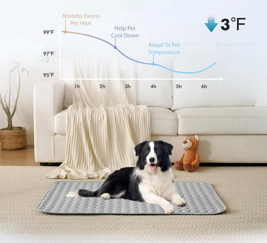 🧊 50% OFF TODAY! 🐶 Dog Cooling Mat (4X Cooling Effect) ✨ Instant Heat Relief & All-Day Summer Comfort for Pets ☀️🐾