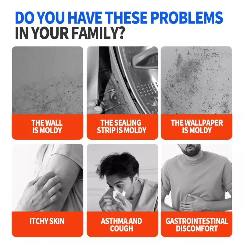 🔥2026 Hot Sale🔥Highly Effective Mould Removal Spray - Prevents Mould Regrowth