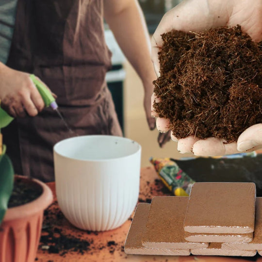 🌱 2026 Upgraded Formula | Pure Coco Coir Gardening Bricks | Boosts Germination ⚡【Flash 50% OFF】