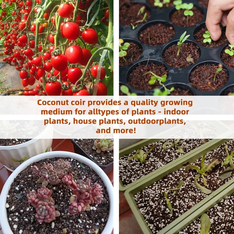 🌱 2026 Upgraded Formula | Pure Coco Coir Gardening Bricks | Boosts Germination ⚡【Flash 50% OFF】