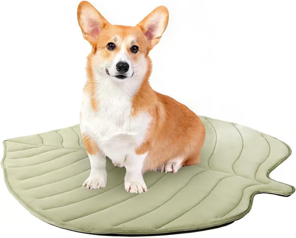 🧊 50% OFF TODAY! 🐶 Dog Cooling Mat (4X Cooling Effect) ✨ Instant Heat Relief & All-Day Summer Comfort for Pets ☀️🐾