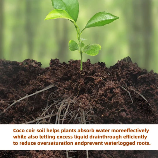 🌱 2026 Upgraded Formula | Pure Coco Coir Gardening Bricks | Boosts Germination ⚡【Flash 50% OFF】