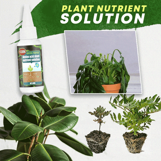 🏆 Last Day Special Price £11.99 ! 🔥🔥Plant Nutrient Solution