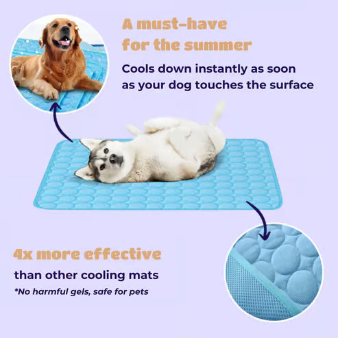 🧊 50% OFF TODAY! 🐶 Dog Cooling Mat (4X Cooling Effect) ✨ Instant Heat Relief & All-Day Summer Comfort for Pets ☀️🐾