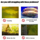 🌊 The ultimate aquarium water stabilizer - Clean, safe, instant!!!🐠