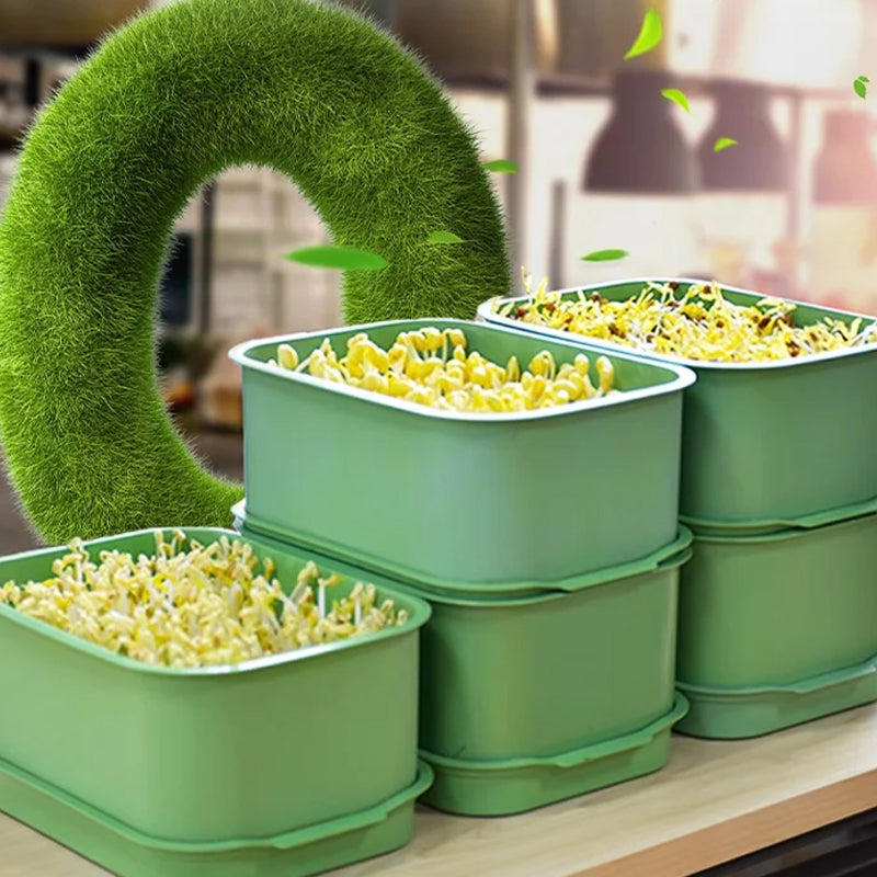 📢📢Buy 2 Get 1 Free !! ⏰Stackable Bean Sprout Growing Box - Multi-layer Design, Perfect for Home Cultivation, Healthy Green Living!