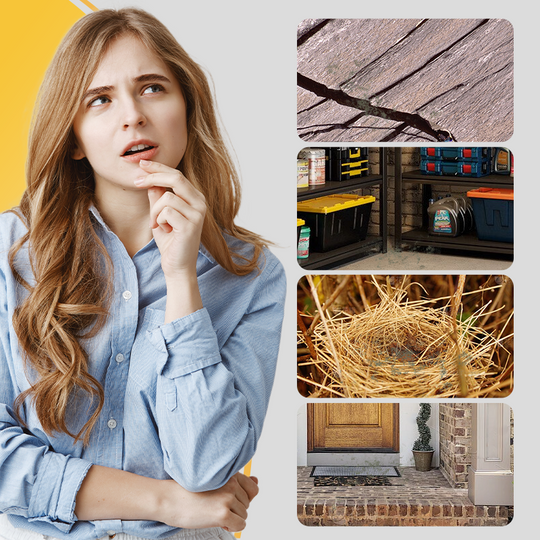 🔥Rodent Control Device🐭 Peppermint Oil Rodent Repellent Spray