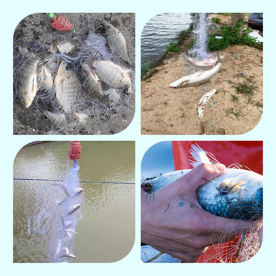 🔥Venda en grandes cantidades de 2025🔥Rede de enmalle con trampa de cebo de resorte