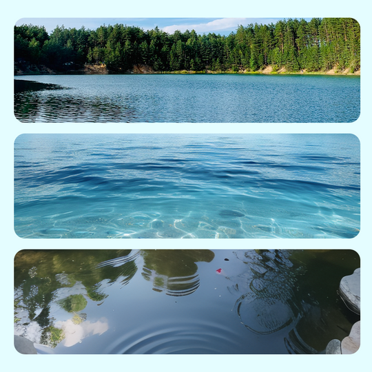 🔥Venda en grandes cantidades de 2025🔥Rede de enmalle con trampa de cebo de resorte