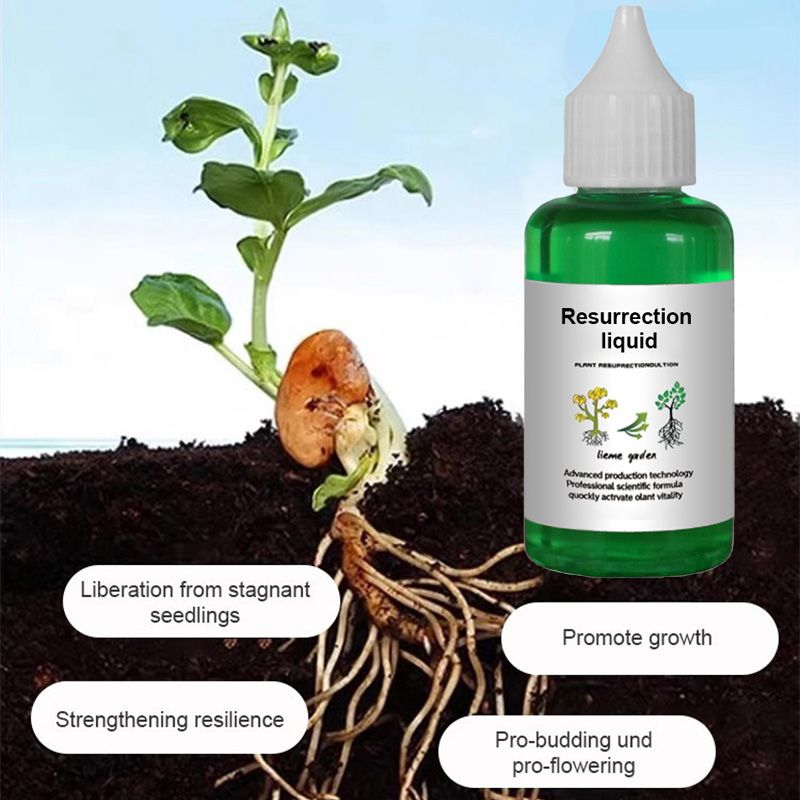 🌿Soluzione liquida per l'attivazione di piante e fiori