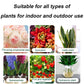 🌿Plant and Flower Activation Liquid Solution