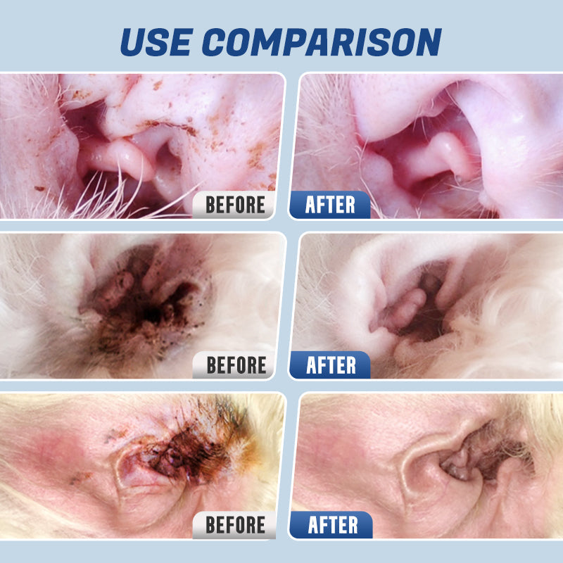 Öronkvalster hos husdjur & Bakterievård & Ren lösning