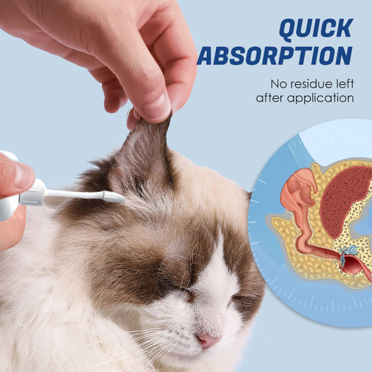 Öronkvalster hos husdjur & Bakterievård & Ren lösning