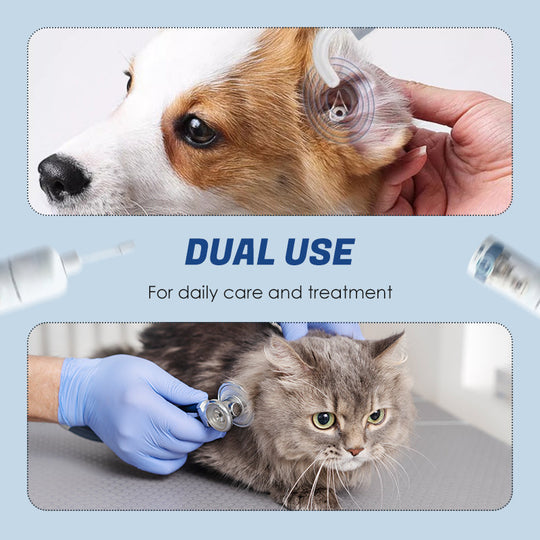 Öronkvalster hos husdjur & Bakterievård & Ren lösning