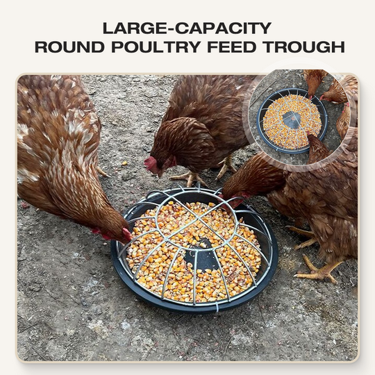 Large-Capacity Round Poultry Feed Trough