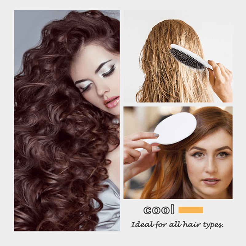 Anti-Static Air Cushion Detangling Brush