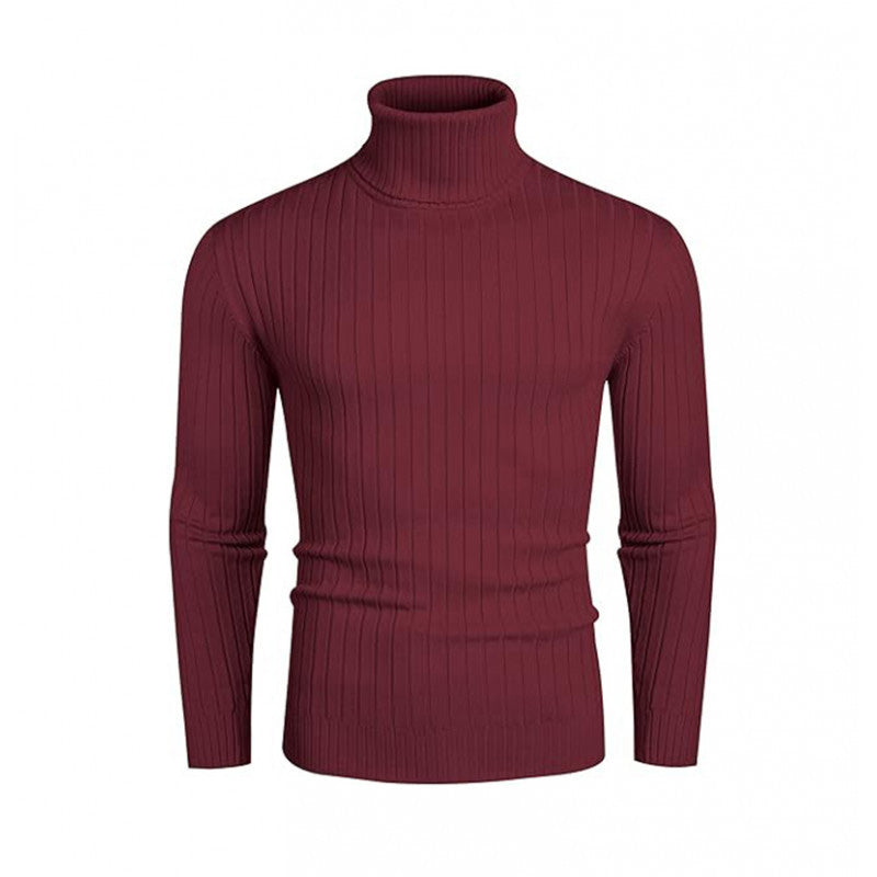Men's Ribbed Turtleneck Sweater