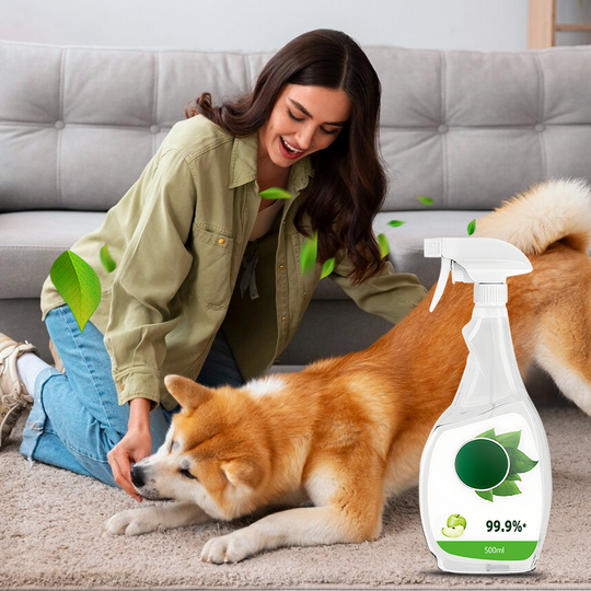 🥳2026 HOT SALE🥳💞50K+ SOLD!🚫🧫 Spray & Wipe, Refresh Your Whole Home | Multi-Surface Quick Clean & Disinfect✨🔄
