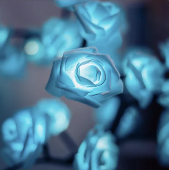 🌠 2026 New & Smart Decor | Rose Tree Night Light | Touch Control & 8 Color Modes 💡【-50%】