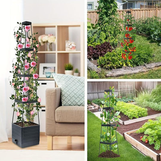 Garden Raised Bed Planter Boxes with Trellis