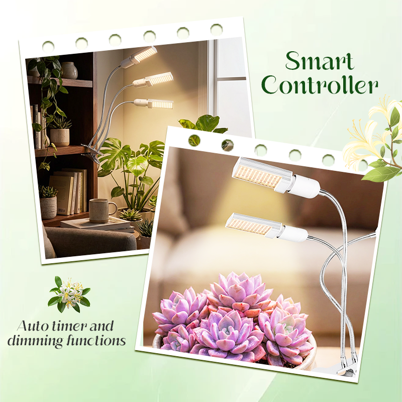 🌱 50% OFF NOW! 💡 LED Plant Grow Light with Timer & Clamp – Full Spectrum, Adjustable Gooseneck & Easy Setup 🌿