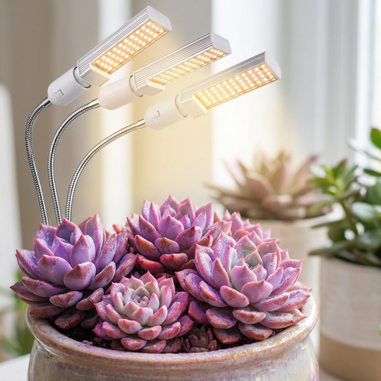 🌱 50% OFF NOW! 💡 LED Plant Grow Light with Timer & Clamp – Full Spectrum, Adjustable Gooseneck & Easy Setup 🌿