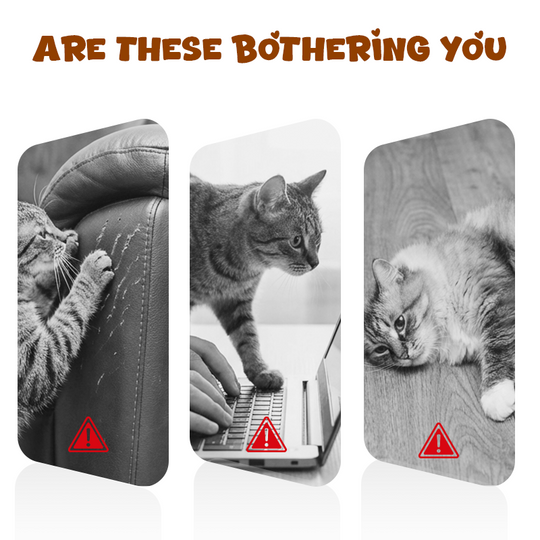 Smart Sensing Automatic Cat Turntable Toy