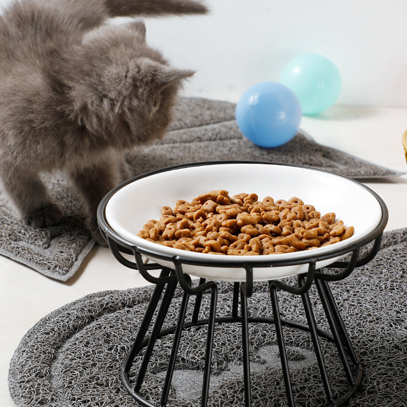 🐱 50% OFF! 🥣Elevated Ceramic Cat Bowl with Iron Stand – Promotes Healthy Posture, Non-Slip & Perfect for Dry & Wet Food 🐈