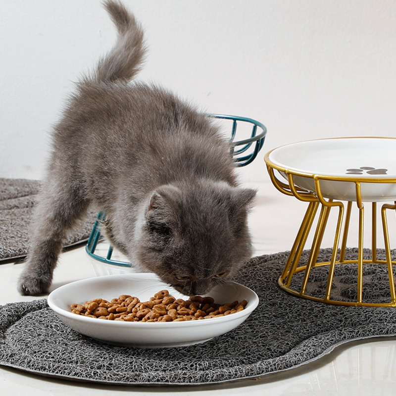 🐱 50% OFF! 🥣Elevated Ceramic Cat Bowl with Iron Stand – Promotes Healthy Posture, Non-Slip & Perfect for Dry & Wet Food 🐈