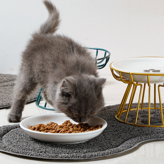 🐱 50% OFF! 🥣Elevated Ceramic Cat Bowl with Iron Stand – Promotes Healthy Posture, Non-Slip & Perfect for Dry & Wet Food 🐈