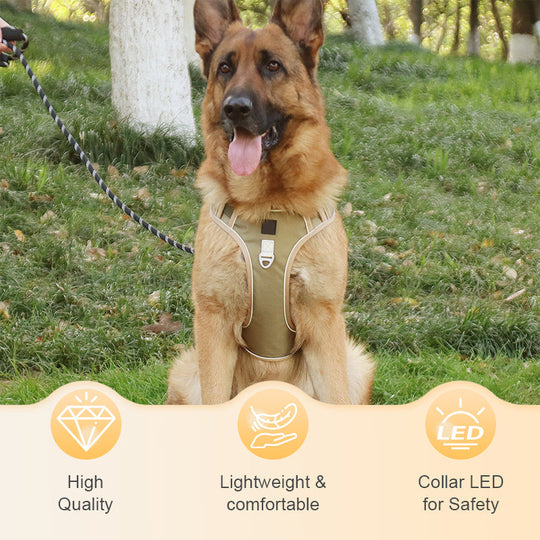 🐶 50% OFF NOW! 🛡️ No Pull Dog Harness with Leash & LED Collar – Secure & Comfortable ✨