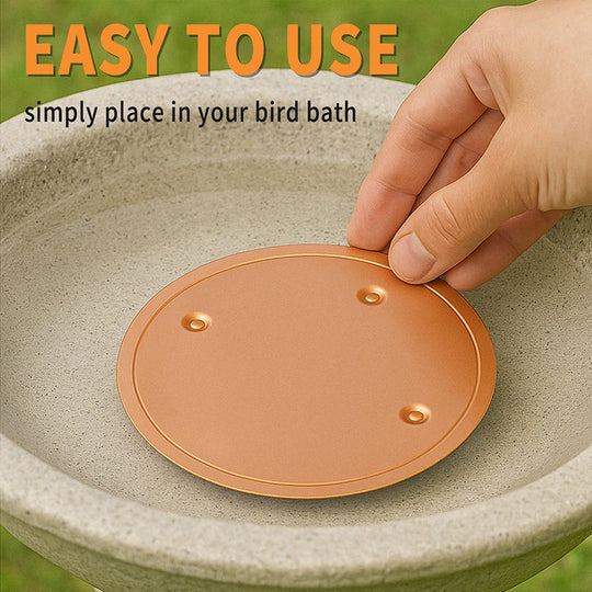 📢📢30% OFF !! ⏰Natural Algae Inhibitor for Bird Baths & Fountains