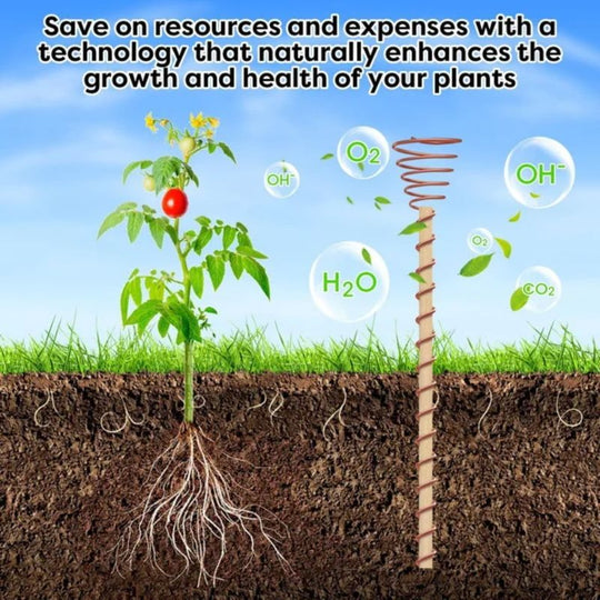 🌿 Electroculture antenna – increase yields by 70%, reduce pesticides, no fertilizer needed! ⚡🍀
