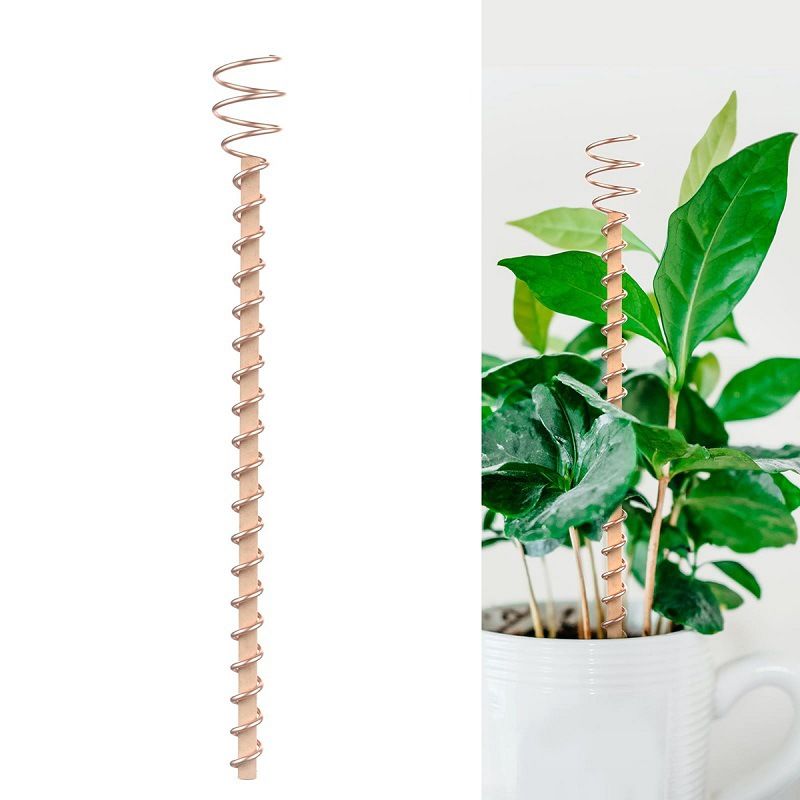 🌿 Electroculture antenna – increase yields by 70%, reduce pesticides, no fertilizer needed! ⚡🍀