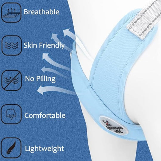 🥳2026 HOT SALE🥳 30% OFF💞X-frame No-Pull Dog Harness Set with Leash
