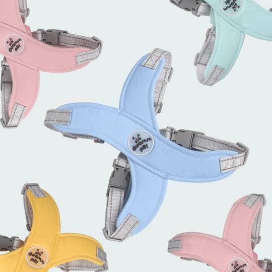 🥳2026 HOT SALE🥳 30% OFF💞X-frame No-Pull Dog Harness Set with Leash