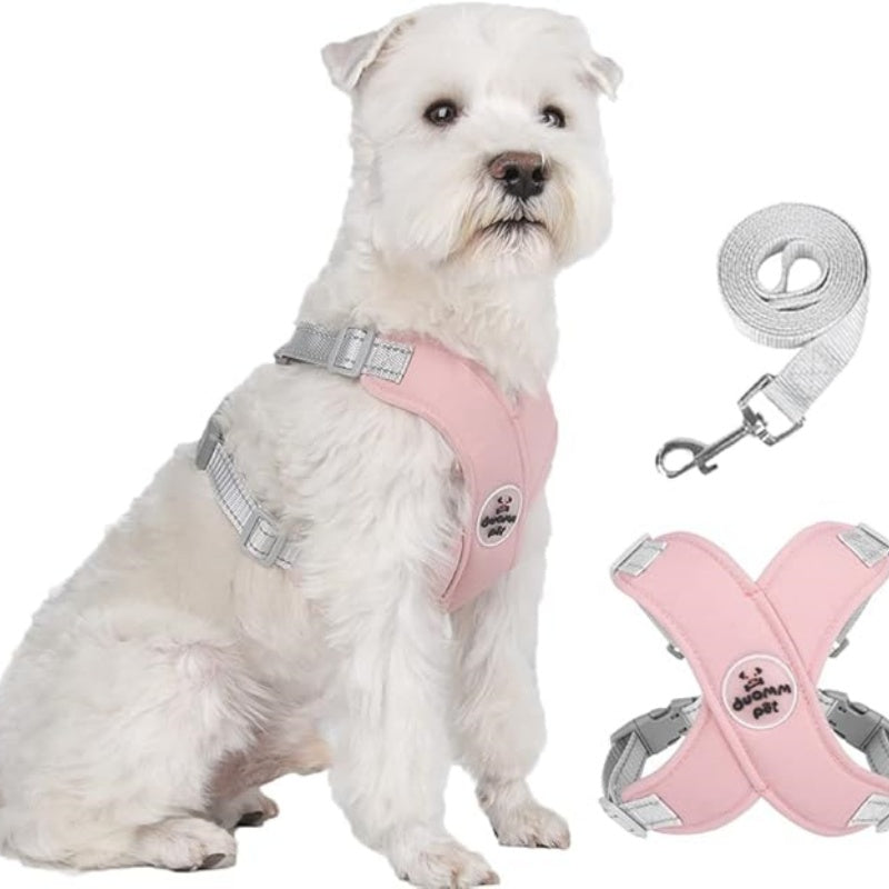 🥳2026 HOT SALE🥳 30% OFF💞X-frame No-Pull Dog Harness Set with Leash