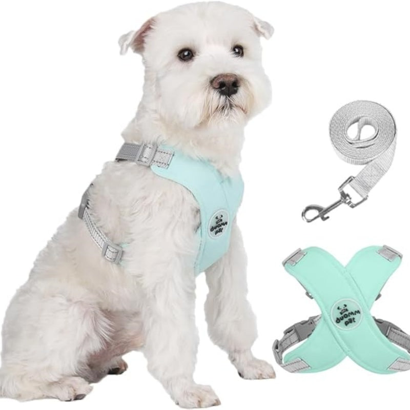 🥳2026 HOT SALE🥳 30% OFF💞X-frame No-Pull Dog Harness Set with Leash